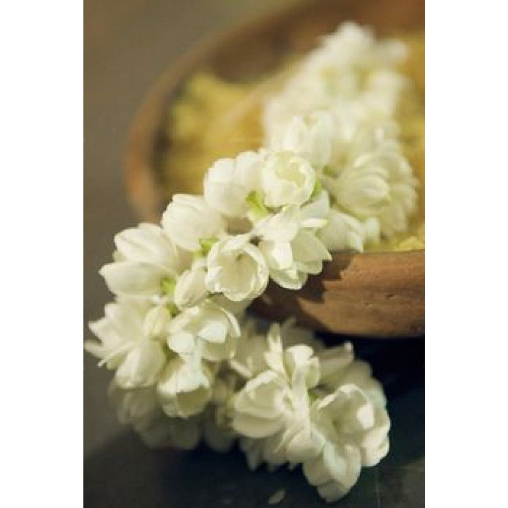 Jasmine Strings - 1m Length