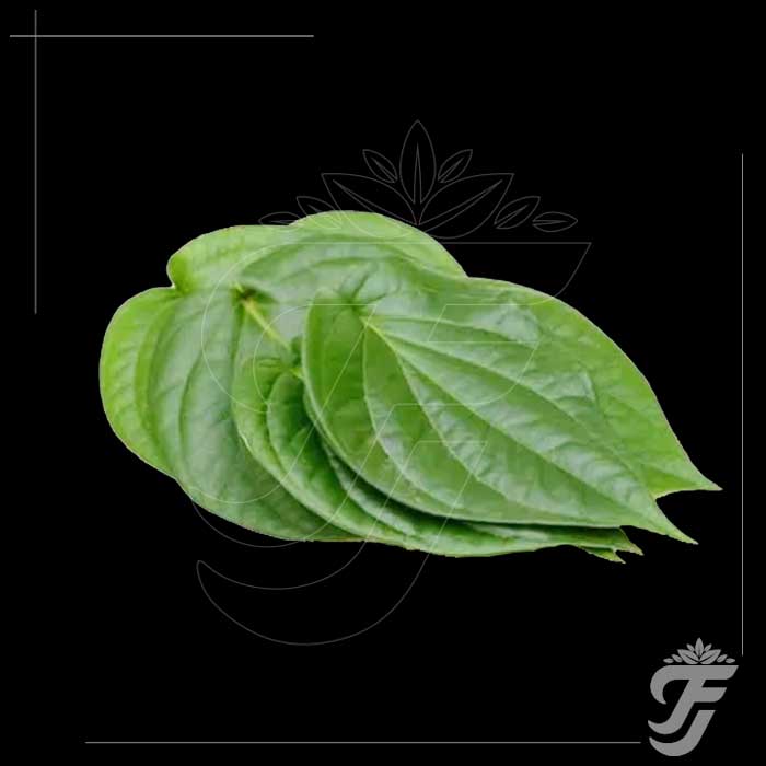 Betel leaves