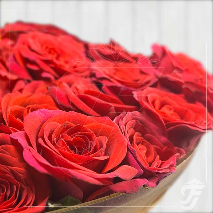 Button Rose Red