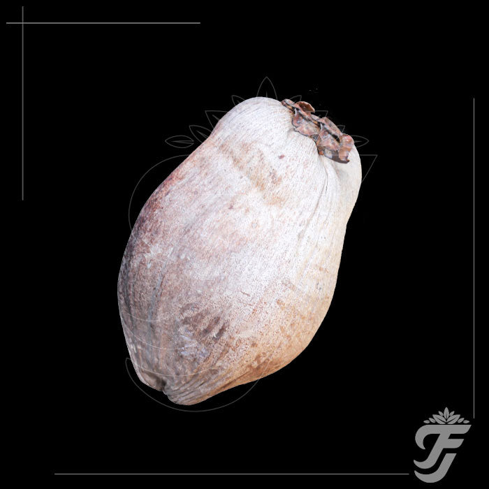 COCONUT DRY-WITH FULL HUSK-1PC