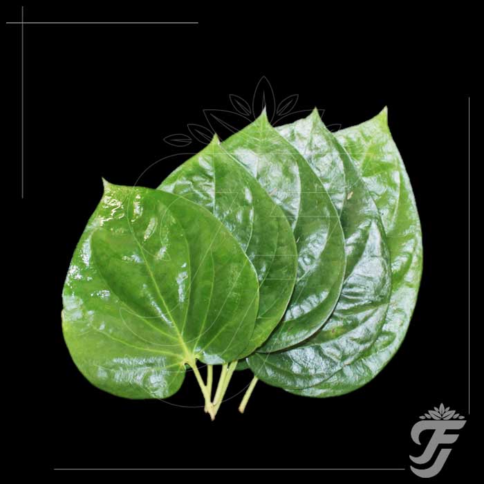 Kolkata paan leaves ( Big Betel Leaves )