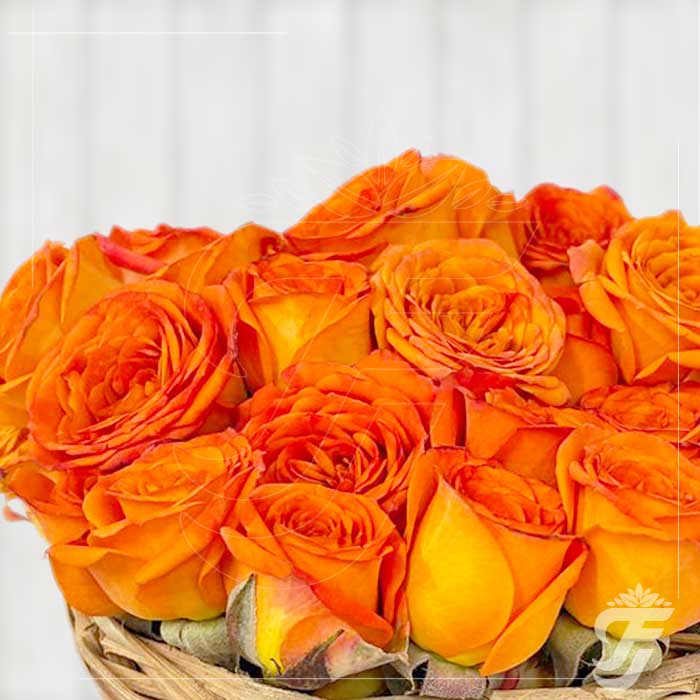 Button Rose Orange