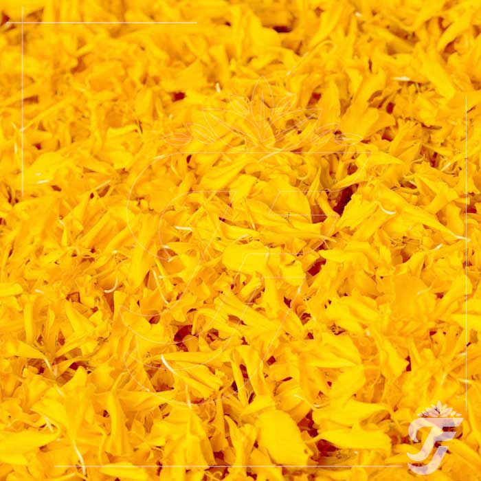 Marigold Orange Petals