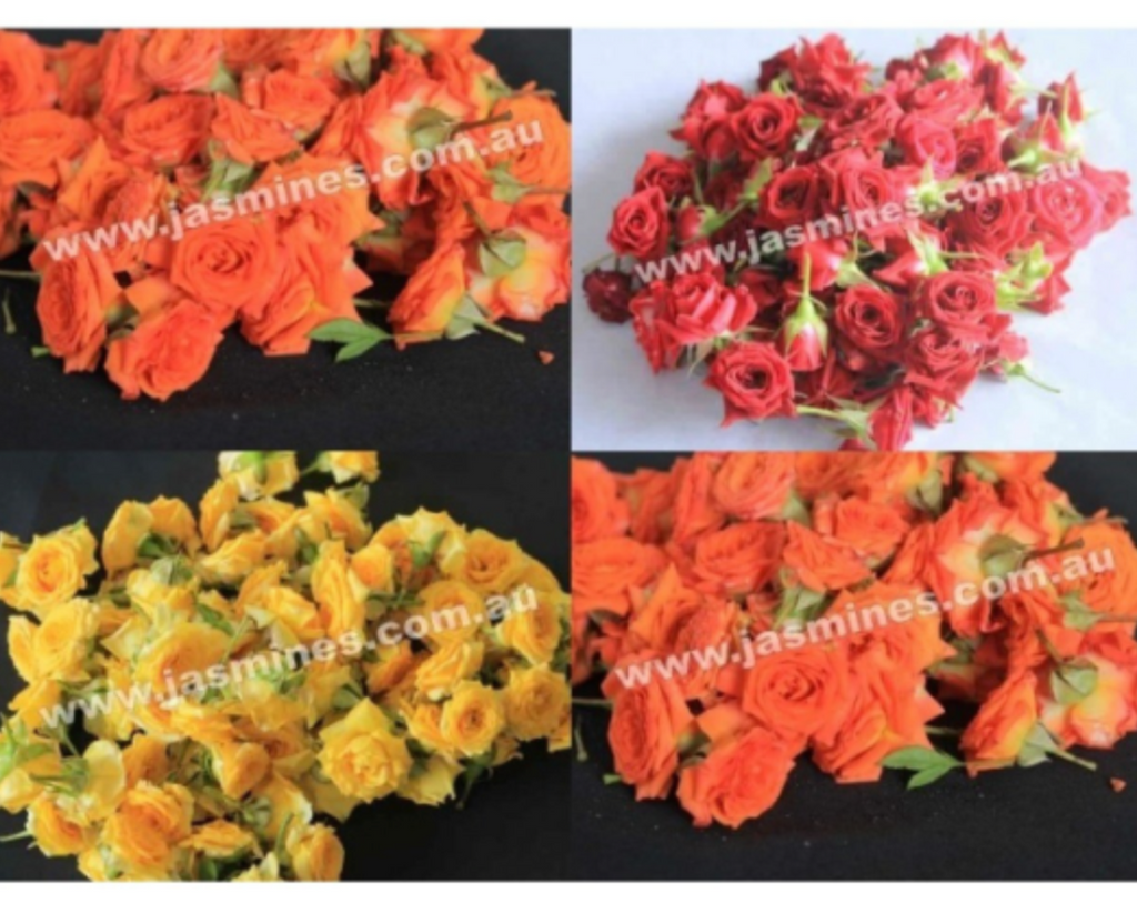 Button Roses - FULL BOX ( 4 to 5 KGs )