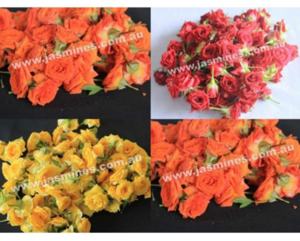 Button Up Roses Button Roses - FULL BOX ( 4 to 5 KGs ) – Fresh Jasmines Online Store