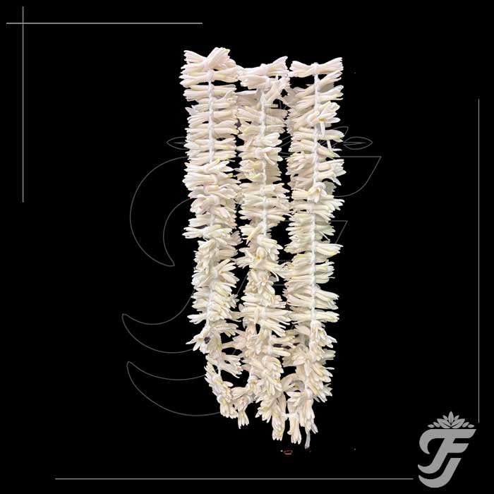 Tuberose Rose Strings 003