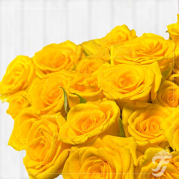 Button Rose Yellow