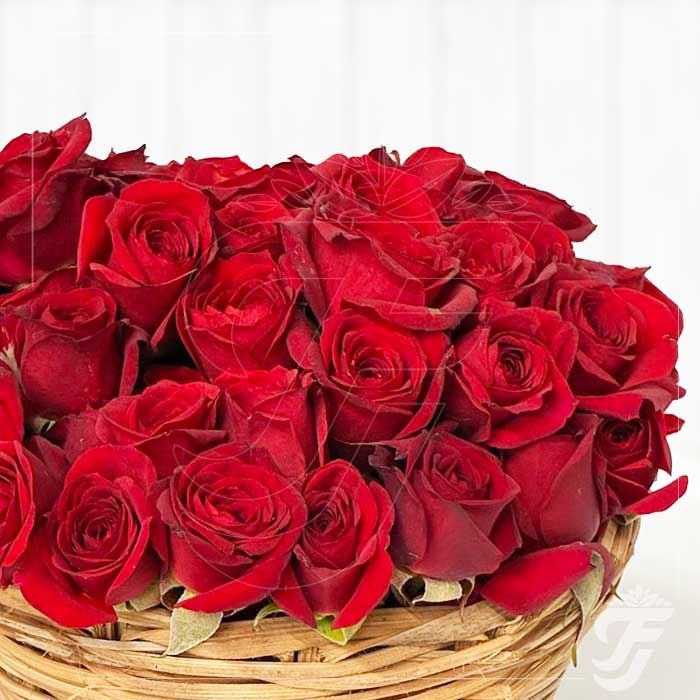 Button Rose Single Colour (1kg)