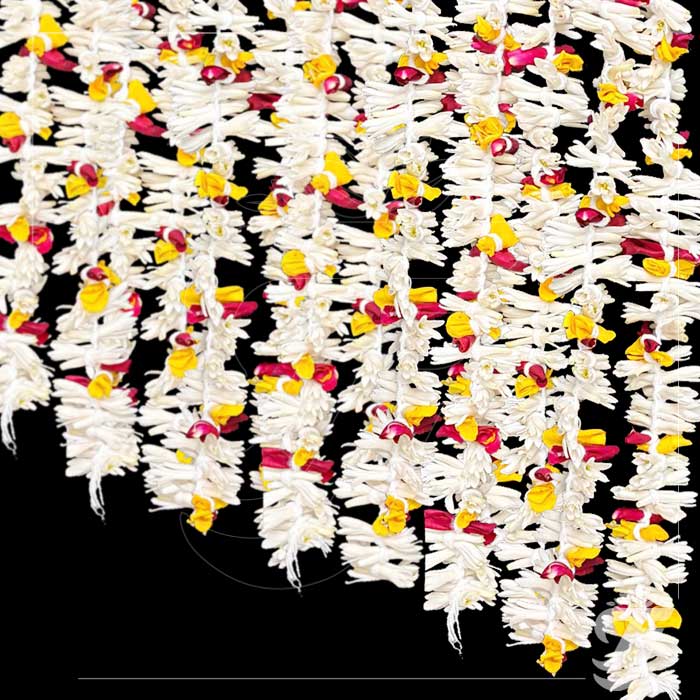 Tuberose Rose Strings 002