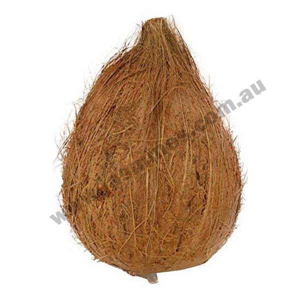 COCONUT DRY-WITH FULL HUSK - 1 PC