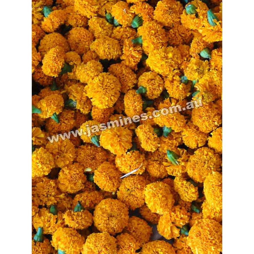 Marigold Orange